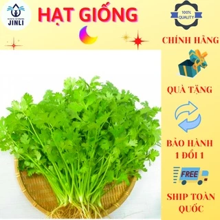 Hạt Giống Ngò Rí (Rau Mùi Ngò Ta) Dễ Trồng, Cây Sinh Trưởng và Kháng Bệnh Tốt JL3