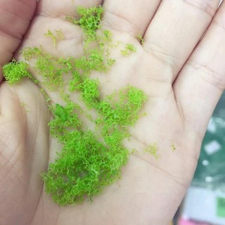 Bột cỏ nhựa làm cây, thảm cỏ mô hình (5gram)