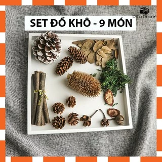 Set đồ khô chụp ảnh - lá, quả khô phụ kiện chụp hình trang trí sản phẩm - DiTu Decor