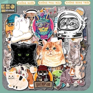 Combo 50 Sticker So Cute Cat chống nước sticker dán laptop, điện thoại, đàn guitar, mũ bảo hiểm, vali. MSP: ST34