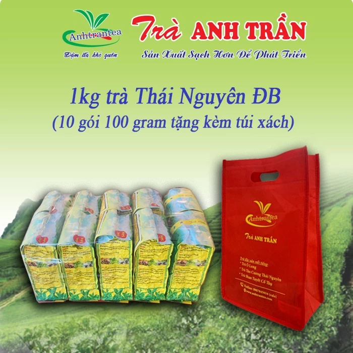 1 kg Trà búp Tân Cương Thái Nguyên đặc biệt gồm 10 túi hút chân không 100g