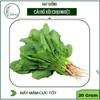 Hạt Giống Cải Bó Xôi Chịu Nhiệt Việt - 20g