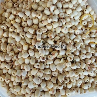 Hạt Sen Sấy Khô Hưng Yên 500gram/1kg dùng nấu chè sâm bổ lượng