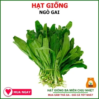 Hạt Giống Ngò Gai Rạng Đông 10Gram