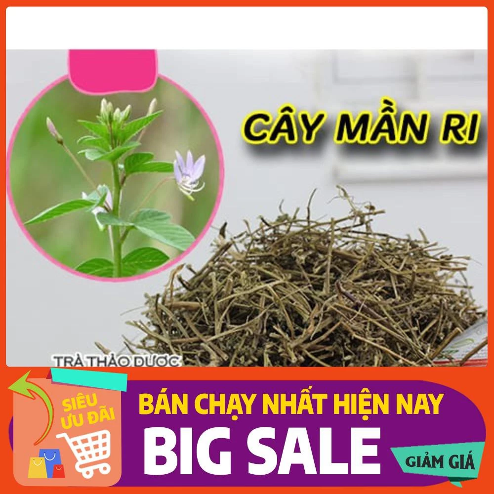 Combo 2Kg Cây Mần Ri Khô - Hàng Công Ty Chất Lượng - Dược Liệu Thanh Bình