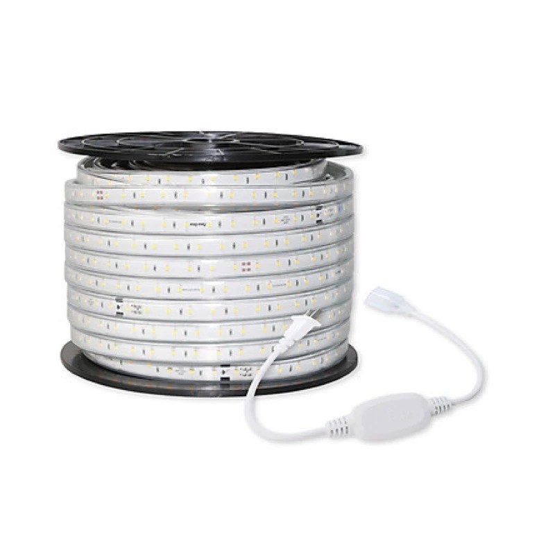 Đèn LED dây Rạng Đông các màu BẢO HÀNH 24 THÁNG