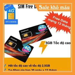Sim Vina D500 ( Miễn phí vào mạng 12 tháng , Tốc độ 4G ) , Sim bảo hành 12 tháng , chính hãng  vinaphone .