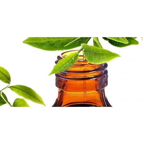 TINH DẦU TRÀ XANH (GREEN TEA ESSENTIAL OIL)