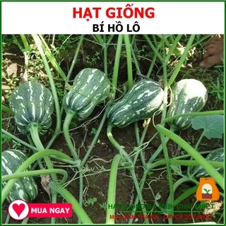 Hạt giống Bí Hồ Lô Trang Nông 2gram