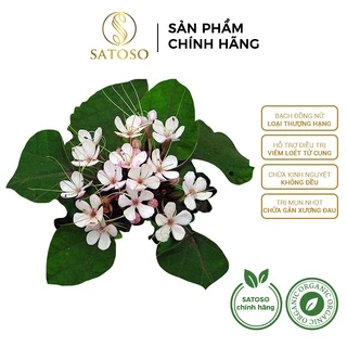 Bạch đồng nữ SATOSO 1kg tác dụng điều kinh, hỗ trợ bệnh khí hư hoặc bạch đới SA37