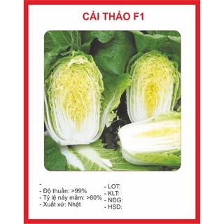 Hạt giống Cải Thảo 0,5gram ~ 100Hat