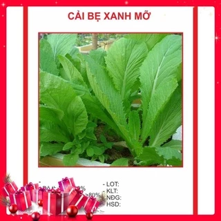 Hạt giống Cải Bẹ Xanh Mỡ 10gr