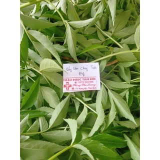 1kg cây cơm cháy