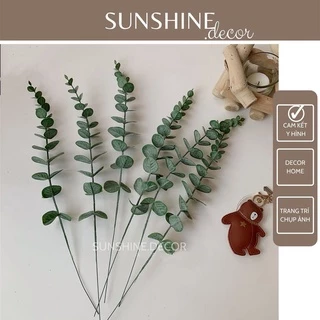 Lá bạch đàn lá khuynh diệp Eucalyptus decor trang trí chụp ảnh sản phẩm 38 cm