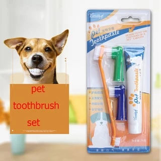 Toothpaste and toothbrush set for cats and dogs