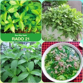 Hạt giống rau đay xanh Rạng Đông 20gr, dễ trồng, nhanh thu hoạch