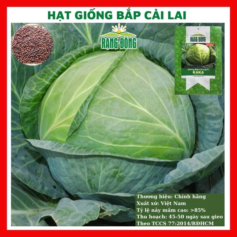 Hạt giống bắp cải lai cao sản - rau củ quả trồng chậu, sân vườn ban công ngon giòn ngọt nảy mầm cao 0,5g RADOBC