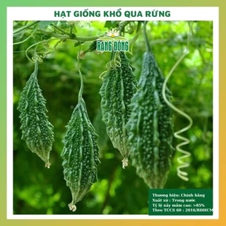 Hạt giống khổ qua rừng  rau củ quả trồng chậu 4 mùa chịu nhiệt tỉ lệ nảy mầm cao 1g RADO 052