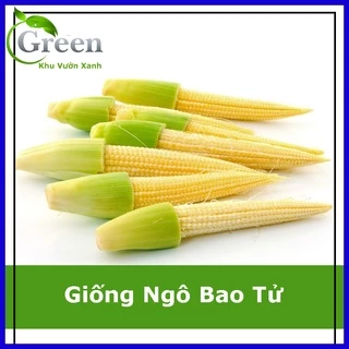 Hạt Giống Ngô Bao Tử (Ngô Rau)