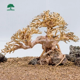 Lũa Bonsai, Lũa thủy sinh dùng trang trí hồ cá cảnh, hồ thủy sinh, văn phòng, nhà cửa (GH-BSR/10)