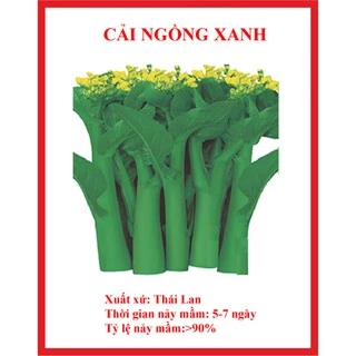 Hạt giống rau cải ngồng xanh 10 gram