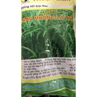 1kg hạt giống rau muống lá tre