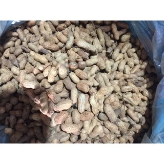 Đậu phộng (lạc) đã phơi nắng chưa tách vỏ 500g được trồng trên đất Huế hạt đẹp chắc không sâu mọt