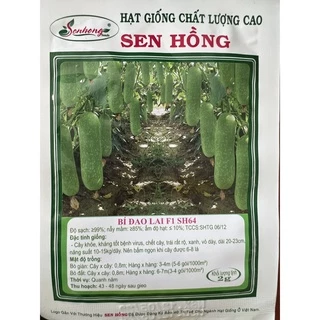 Hạt Giống Bí Đao lai F1 Sen Hồng SH 64 (2 Gam)