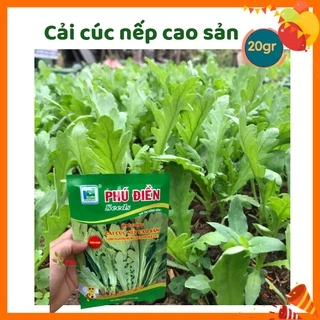 Hạt Giống Rau, Hạt Giống Rau Cải Cúc Nếp Cao Sản Phú Điền, Hạt giống rau chất lượng, Gói 20gr - Nông nghiệp Gia Lâm