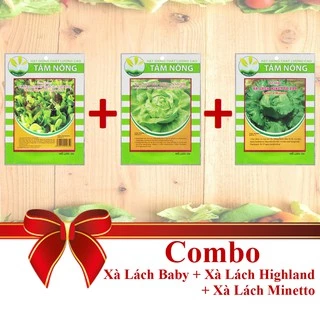 [Combo 3 Gói Hạt Giống] Xà Lách Mix Nhiều Loại