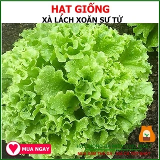 Hạt Giống Xà Lách Xoăn Sư Tử 5 Gram