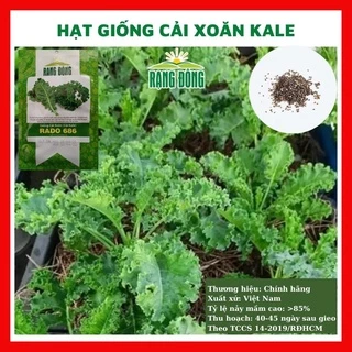 Hạt giống cải xoăn kale - rau củ quả trồng chậu, sân vườn ban công ngon giòn ngọt nảy mầm cao 5gr RADO686