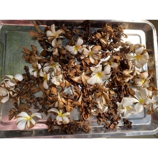 hoa sứ trắng phơi khô nhà trồng