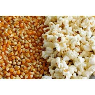 [500g] bắp mỹ làm bắp rang bơ loại ngon nở đều 🍿🍿