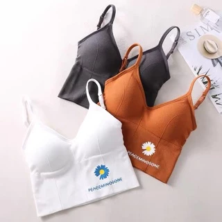 Áo bra gym yoga bra thể thao dáng crotop thời trang năng động N001