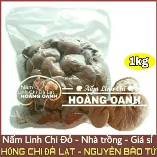 Nấm Linh Chi Đỏ còn nguyên bào tử 1kg - Hồng Chi Đà Lạt