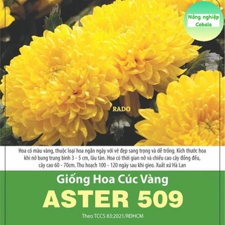 Hạt Giống Hoa Cúc Vàng (509) 0.1gr