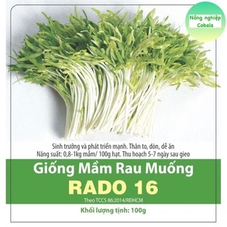 Hạt Giống Mầm Rau Muống (RD16) Dễ Trồng 50gr