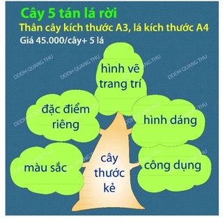 [Đồ dùng dạy học] Cây 5 lá