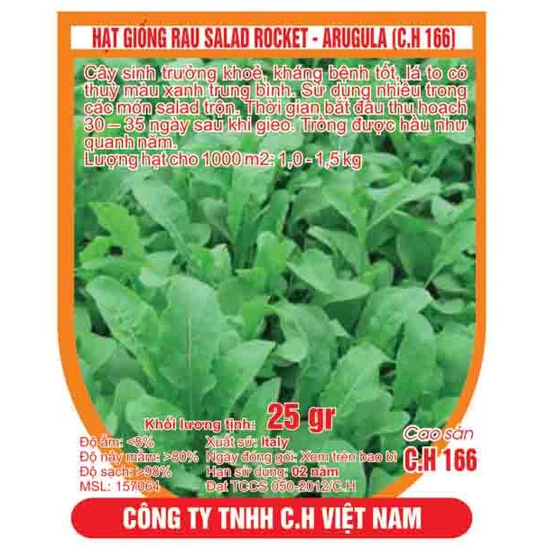 hạt giống rau salad rocket