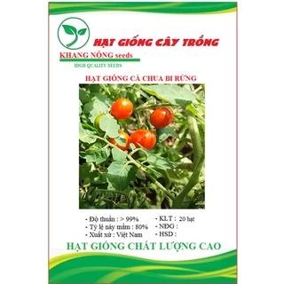 Hạt giống cà chua bi rừng ( cà chua bi dại ) KN01 - Gói 20 hạt