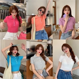 Croptop Nữ, Áo Croptop Chất Mongtoghi Hàng Quảng Châu