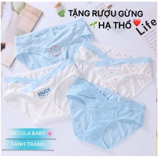 Combo 4 quần lót bầu và sau sinh cao cấp 95% cotton tự nhiên và 5 % thun co dãn