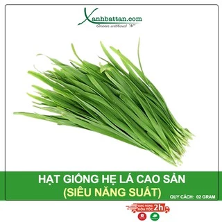 Hạt Giống Hẹ Cao Sản Phú Nông Gói 2 Gram