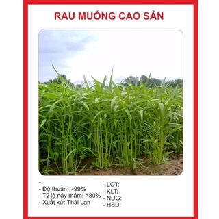 Hạt Giống Rau Muống Cao Sản 10gr hạt giống bốn mùa