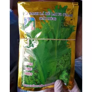 Cải mèo (cai canh lá xẻ lai F1) 20g