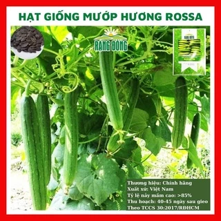 Hạt giống mướp hương rossa - rau củ quả trồng chậu, sân vườn ban công tỉ lệ nảy mầm cao 1g RADO38