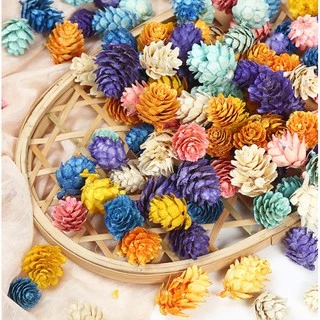 Set 10 hoa quả thông nhí nhiều màu THONG01 trang trí (phụ kiện handmade)