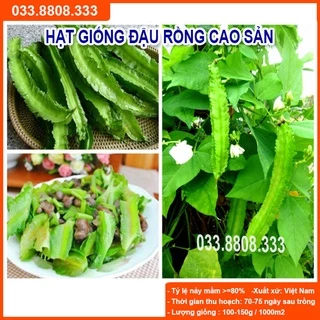 Hạt Giống Đậu Rồng Tứ Quý-Giống Tốt Nhanh Thu Hoạch