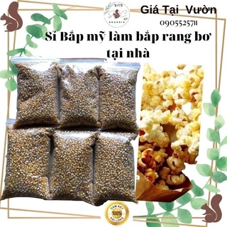 Bắp mỹ -1 kg bắp mỹ làm bắp bung rang bơ tại nhà cực dễ